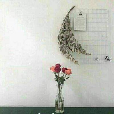 蜀山战记2游戏官方
